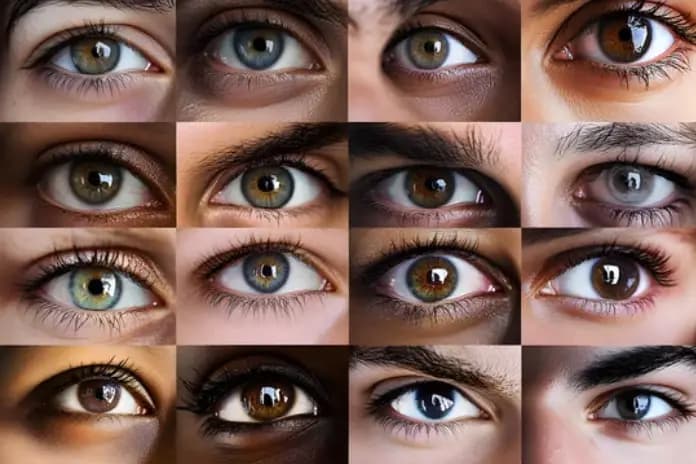 Your Eye is a Window to Your Health